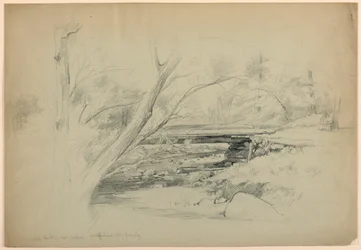Artist