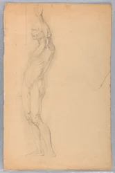 Tegning, anatomisk studie av mann, ca. 1850