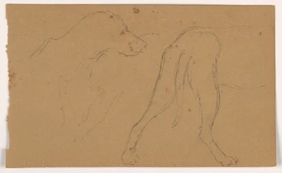 Tegning, Milo (en peker), hode og kropp, ca. 1862