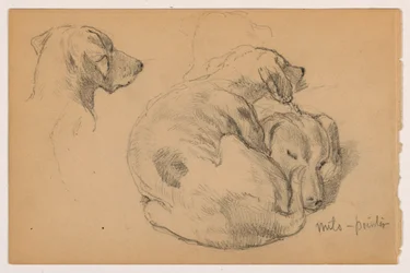Tegning, Milo (en peker) tre studier, Milo (en peker) to studier, ca. 1862