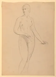 Tegning, fru Henry Schieffelin, S, 1881