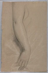 Tegning, fru Rutherford B Hayes, 1880