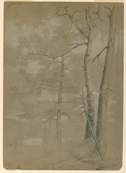 Studie av Hemlock and Beech, White Lake