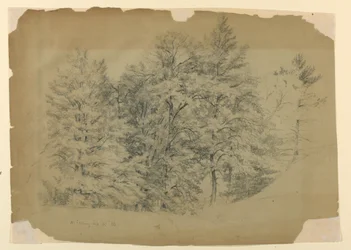 Study of Trees, North Conway, New Hampshire   1261925   no       norwegian Successfully Translated  Original: Sac de Rome en 455 : Genseric (ou Geiseric) (vers 399-477) et les Vandales envahissent Rome (Geiseric the Lame invades Rome). Ils pillent la ville