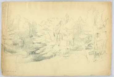 Skogbevokst scene - West Campton, New Hampshire