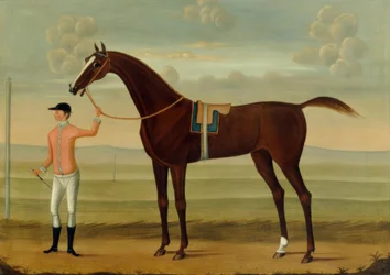 En Bay Racehorse med Jockeyen sin på en Racecourse