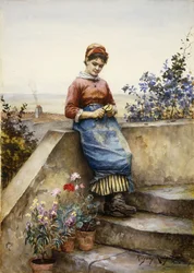 Å skrelle et eple, 1884