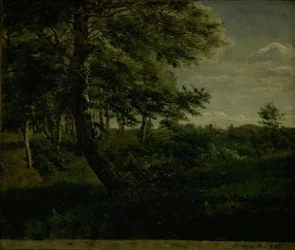 Ørsbjerg Skog ved Aarup, Fyn