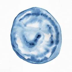 Flytende indigo-virvel