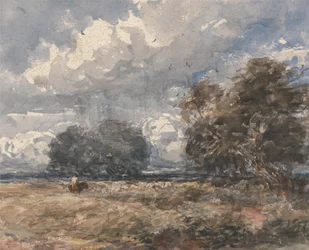 Hyrde flokken, vindfull dag