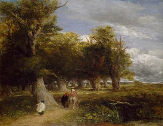 Skogens skjørt, 1855