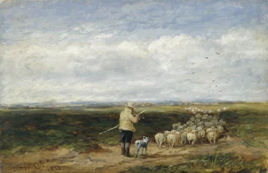 Hyrden, flokkens retur