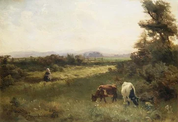 En sommerettermiddag nær Blairgowrie
