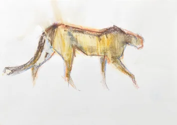 Cheetah, 2020 (fargestift og akvarell på papir)
