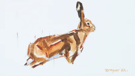 Hare, 2022 (olje på lerret)