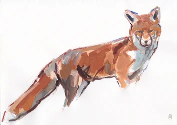 Red Fox, 2021 (gouache og akvarell/fargestift på papir)