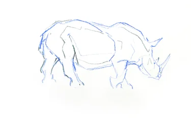 White Rhinoceros, 2020 (fargestift på papir)