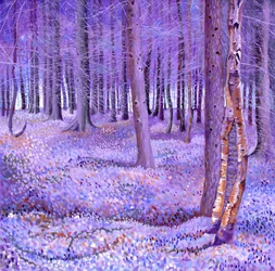 Lilla skog 2, 2012