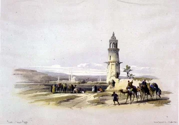 Sioul, Øvre Egypt, fra "Egypt and Nubia", Vol.1 (litho)