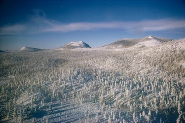 Sibir i vinterlandskap over myr og skoger dekket av snø

