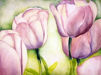 Lavendeltulipaner, 2006 (akvarell)