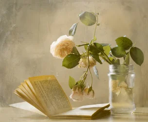 «Faded Roses» – Åpen bok