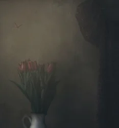 Tulipaner og sommerfugl i skyggen