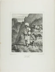 Bannat Shepherd, Donaus venstre bredd
