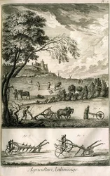 Feltarbeid - Landbruk, såing, pløying. Ulike modellruller og ploger: Plate med et volum med illustrasjoner fra Encyclopedie of Diderot, originalutgave 1762