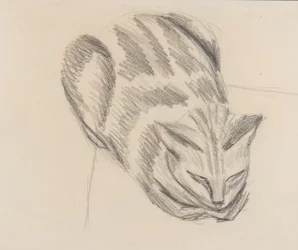 Sovende katt (blyant på papir)