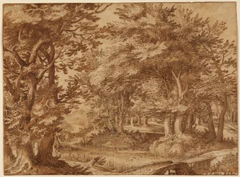 Skoglandskap med et fjerntliggende slott