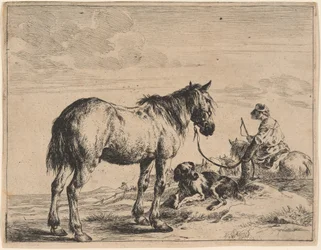En hest bundet til en stolpe med en liggende hund