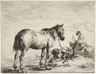 Hest bundet til en stolpe.