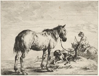 Hest bundet til en stolpe