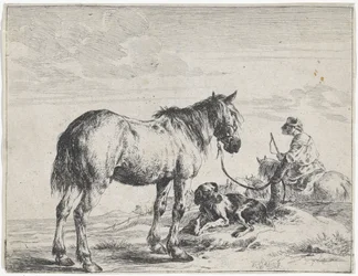 Hest bundet til en innsats Hester (serietittel)