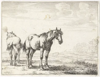 To hester i et landskap Hester (serietittel)