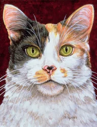 Marigold, 1997 (akryl på panel)