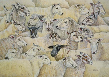 Sau-teppe