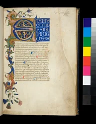 Ms 373. Pseudo-Cicero, Rhetorica ad Herennium og andre verk, f.1r. Opplyst initial [E] og delvis kant med akantusblad- og blomsterdekor, den første tekstlinjen med hvite utstillingsbokstaver på blå grunn, ca. 1337 (pergament)