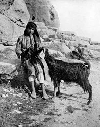 Arabisk gutt og geit, Midtøsten, 1936.