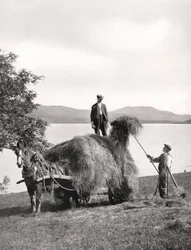 Laster høy på en vogn ved bredden av Loch Lomond, Skottland, 1924-1926.