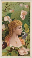 Sweet-Peas: Goodbye Sweetheart!, fra serien Floral Beauties and Language of Flowers ..., 1892.