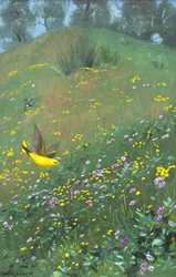 Gyllen karnapp i vårblomster