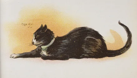 En katt.