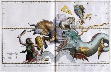 Himmelkart over stjernebildene: Orion, Tyren, Væren og Fiskene, 1666-1668