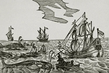 Hvalfangstskip, fra Jacob Segersz van der Brugges "Journael"
