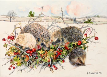Pinnsvin i Hedgerow Basket, 1996 (akryl på lerret)