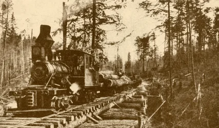 A Logging Railway, British Columbia, 1930.