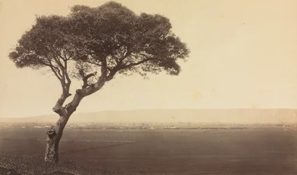 Uten tittel (Landskap nær Watsonville, California)