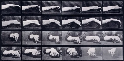 A Motion Study of a Hand, ca. 1872-1885
